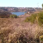 Bartoni * Aljezur