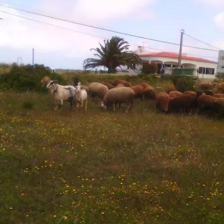 Bartoni Casa de Férias *