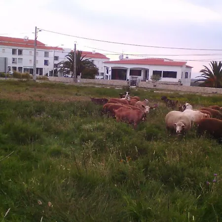 Bartoni בית נופש *