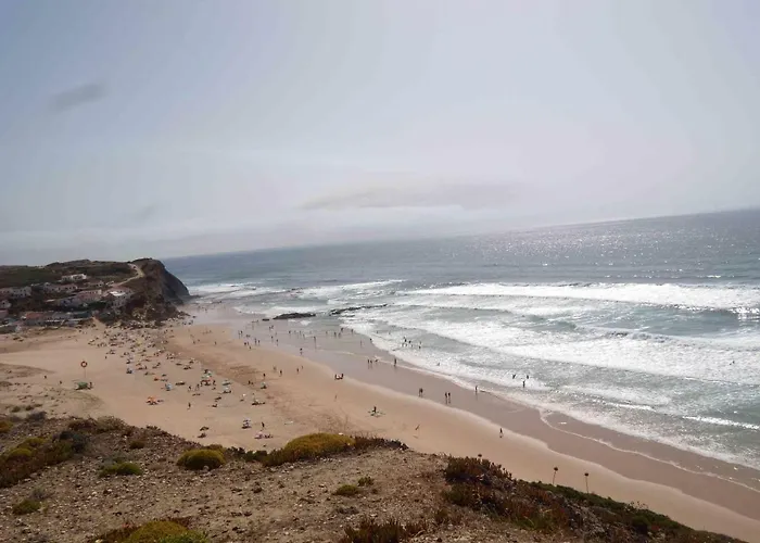 Bartoni אלג'זור