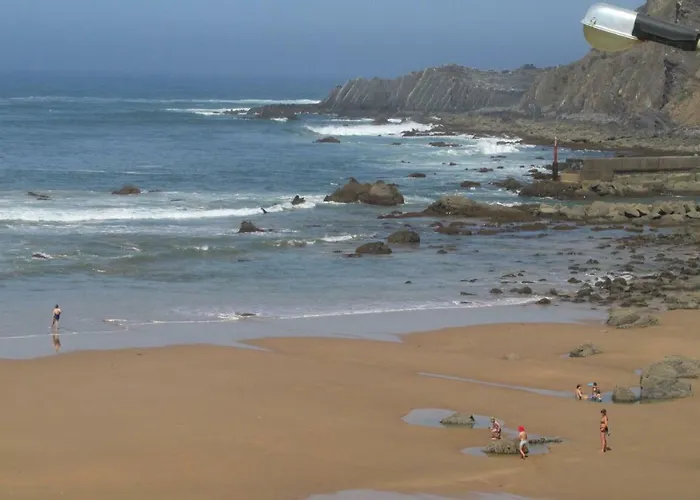 Bartoni * אלג'זור