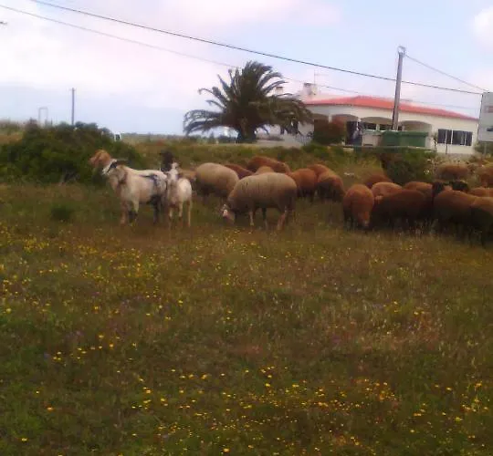 Bartoni בית נופש *